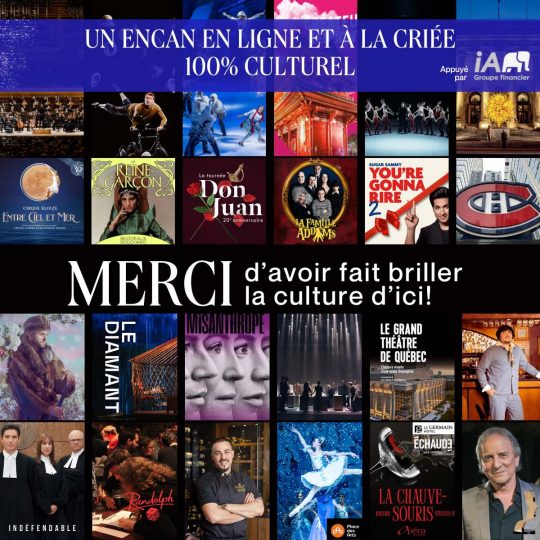 Banner Encan en ligne