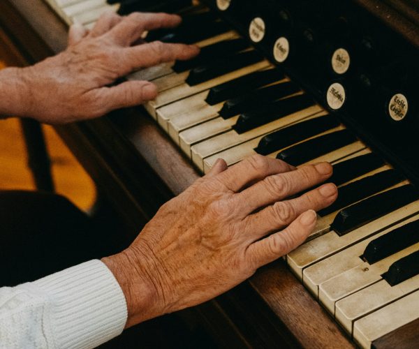 brandon-burridge-OABdfyRwhAA-unsplash